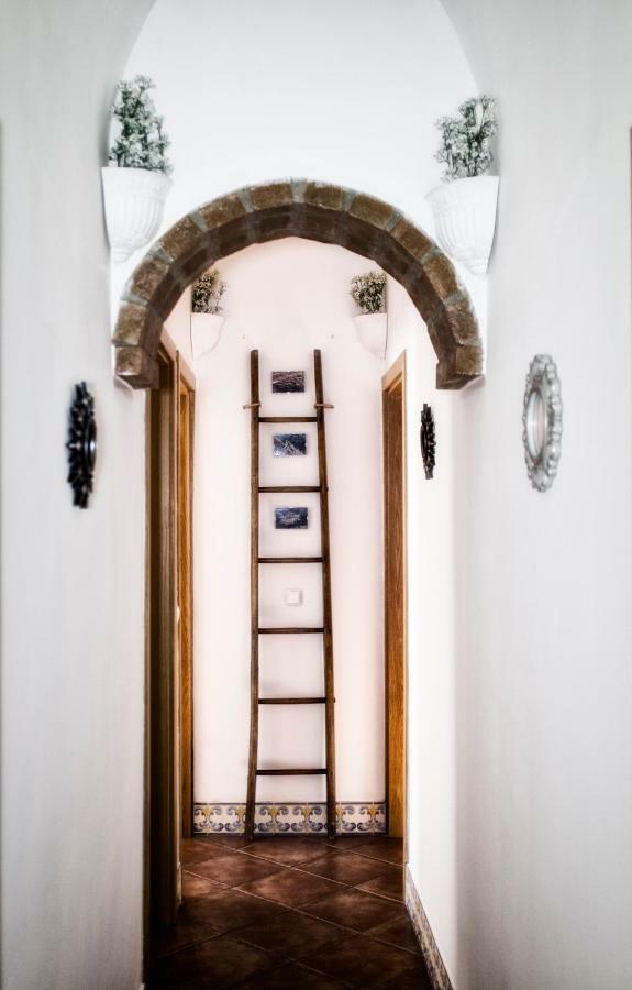 Casa Vitoria Guest House Évora Kültér fotó